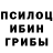 Псилоцибиновые грибы мицелий Pyper P