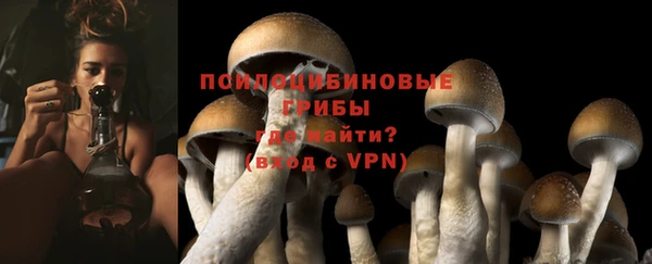 бутират Осташков