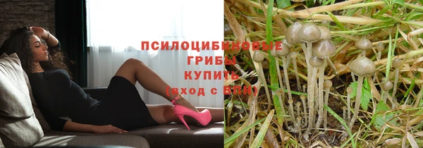 винт Осинники
