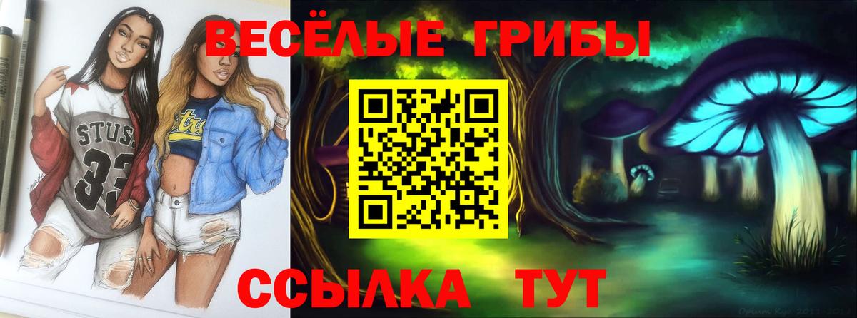 Галлюциногенные грибы MAGIC MUSHROOMS  Вход с VPN  Псилоцибиновые грибы Psilocybe  Чебоксары 